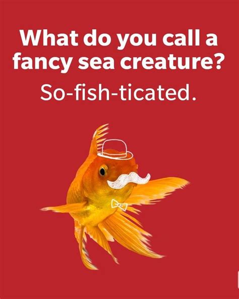 Jokes: 1000s of Our Most Funny Jokes, Puns & Riddles.